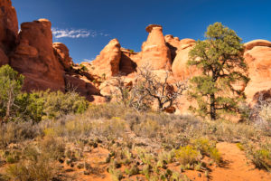 USA, Utah, Arches National Park, Devils Garden, rock formations, USA, Utah, Arches National Park, Devils Garden, rock formations,